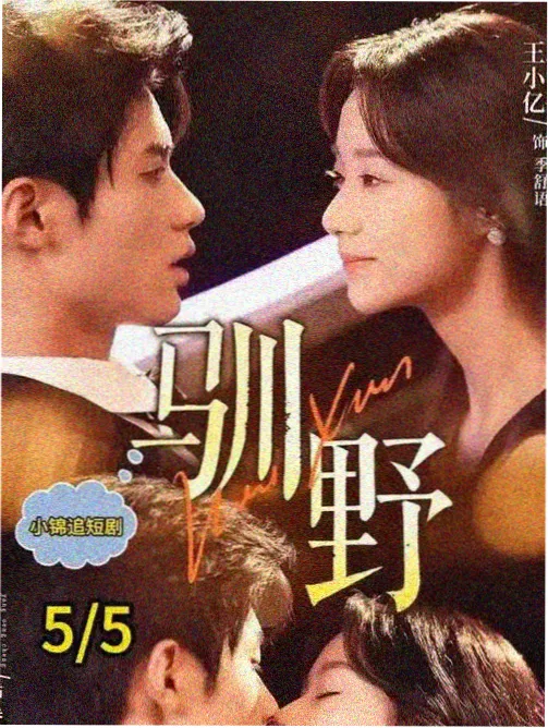 厨房大冒险 剧集海报